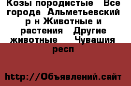 Козы породистые - Все города, Альметьевский р-н Животные и растения » Другие животные   . Чувашия респ.